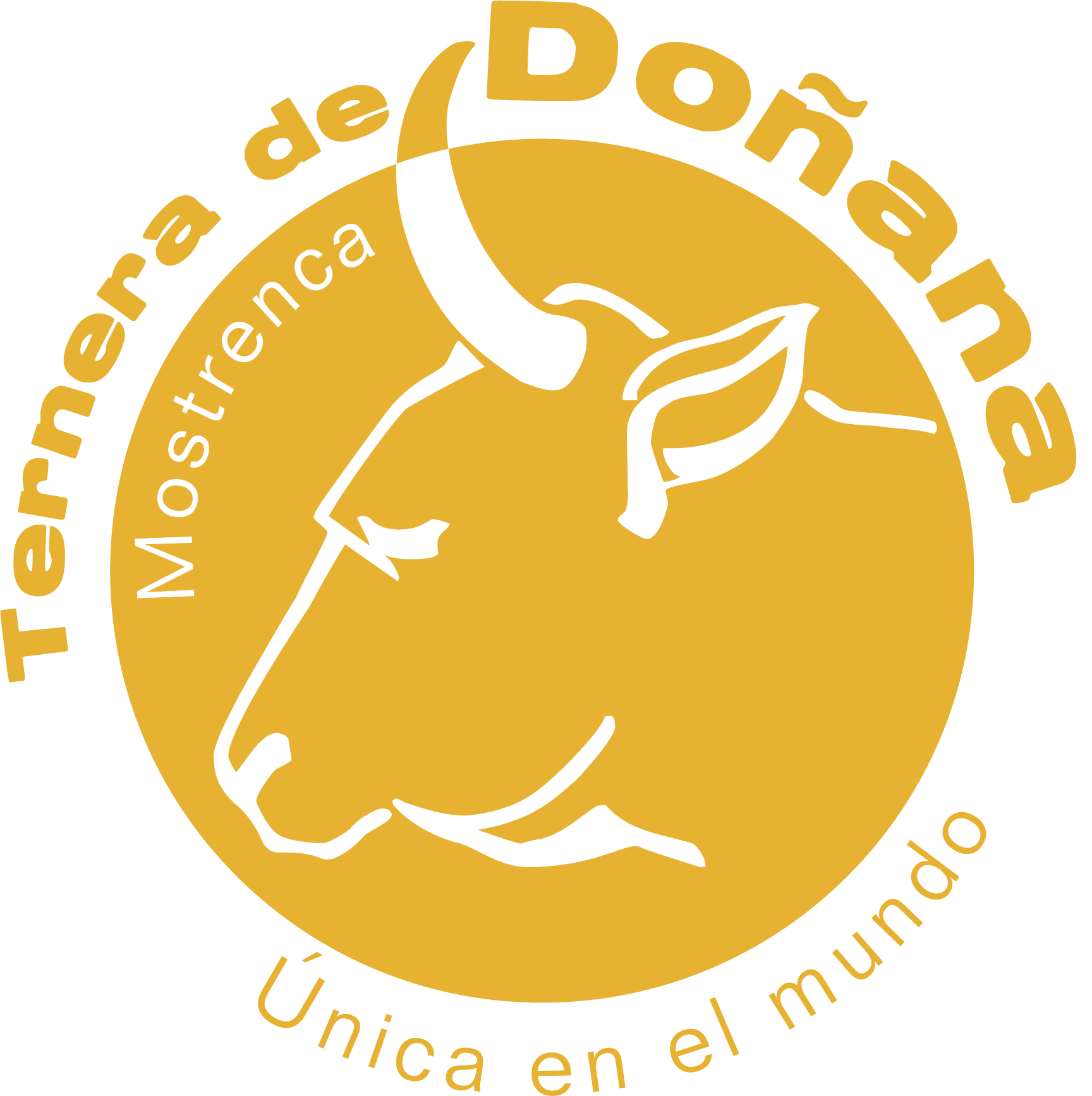 Terneras de Doñana